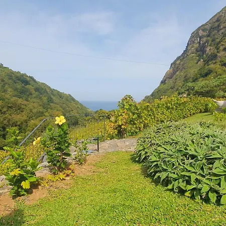 Terrabona Nature & Vineyards ボアバントーラ