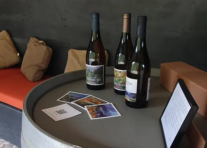 Resort Terrabona Nature & Vineyards