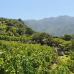 Terrabona Nature & Vineyards 3*