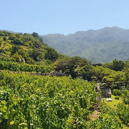 Terrabona Nature & Vineyards *